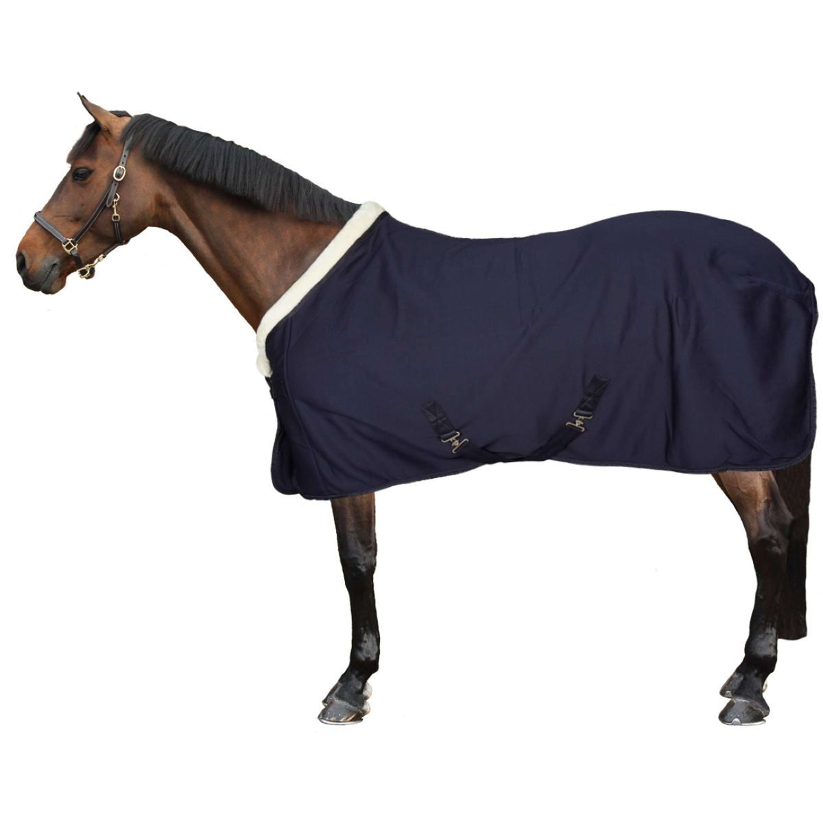 Montar Coperta in Pile Softshell Navy