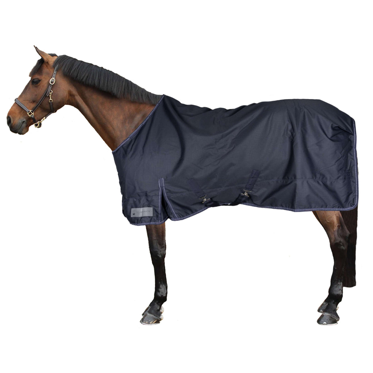 Waldhausen Tappeto da Esterno Nordic 100g Blu notte