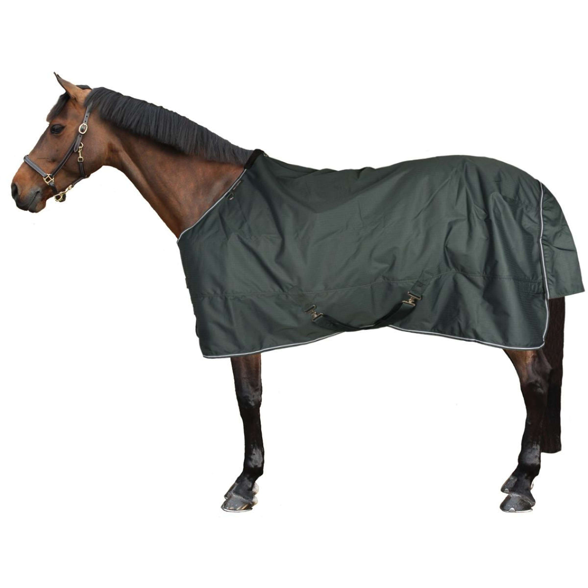 EQUITHÈME Tappeto da Esterno 600D Standard 300g Verde