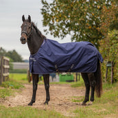 Agradi by Bucas Ritorno dell'affluenza alle urne Equi-Soft Pad Blu marino/Argento