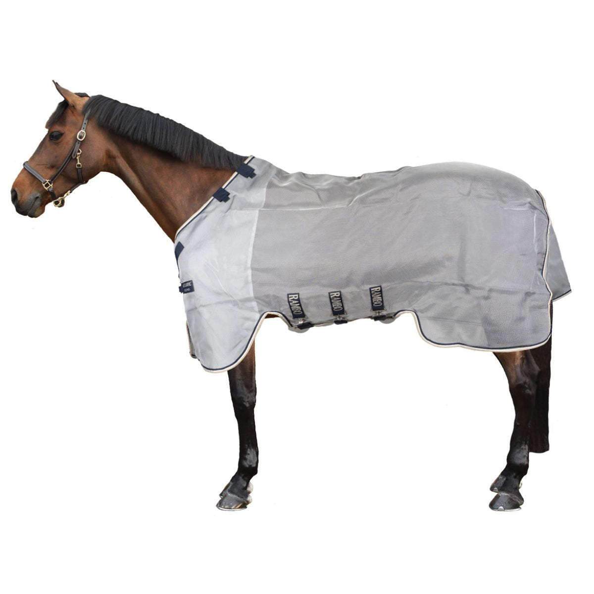 Rambo Protettore Argento/Blu scuro/Bianco/Beige