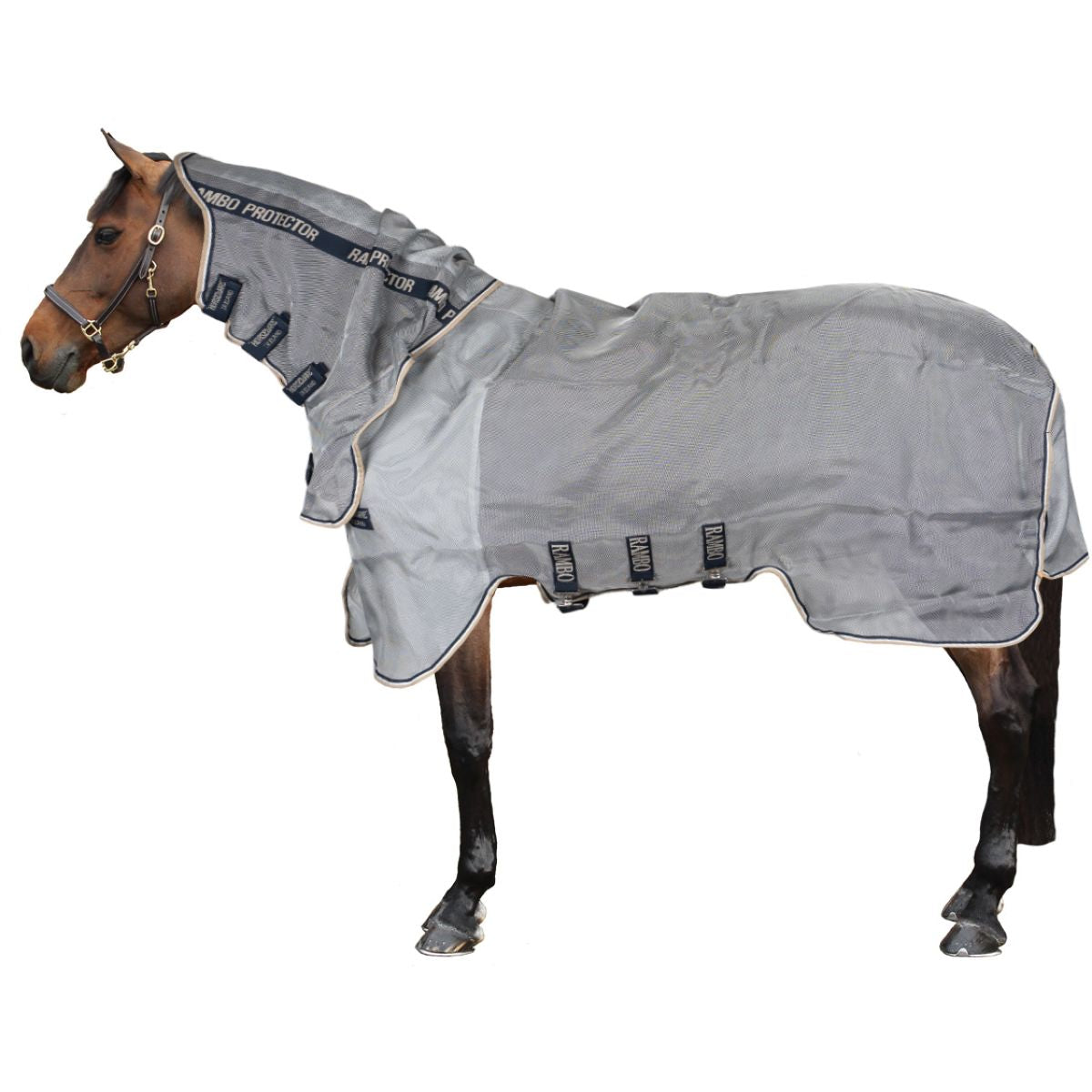 Rambo Protettore Integrated Argento/Blu scuro/Bianco/Beige