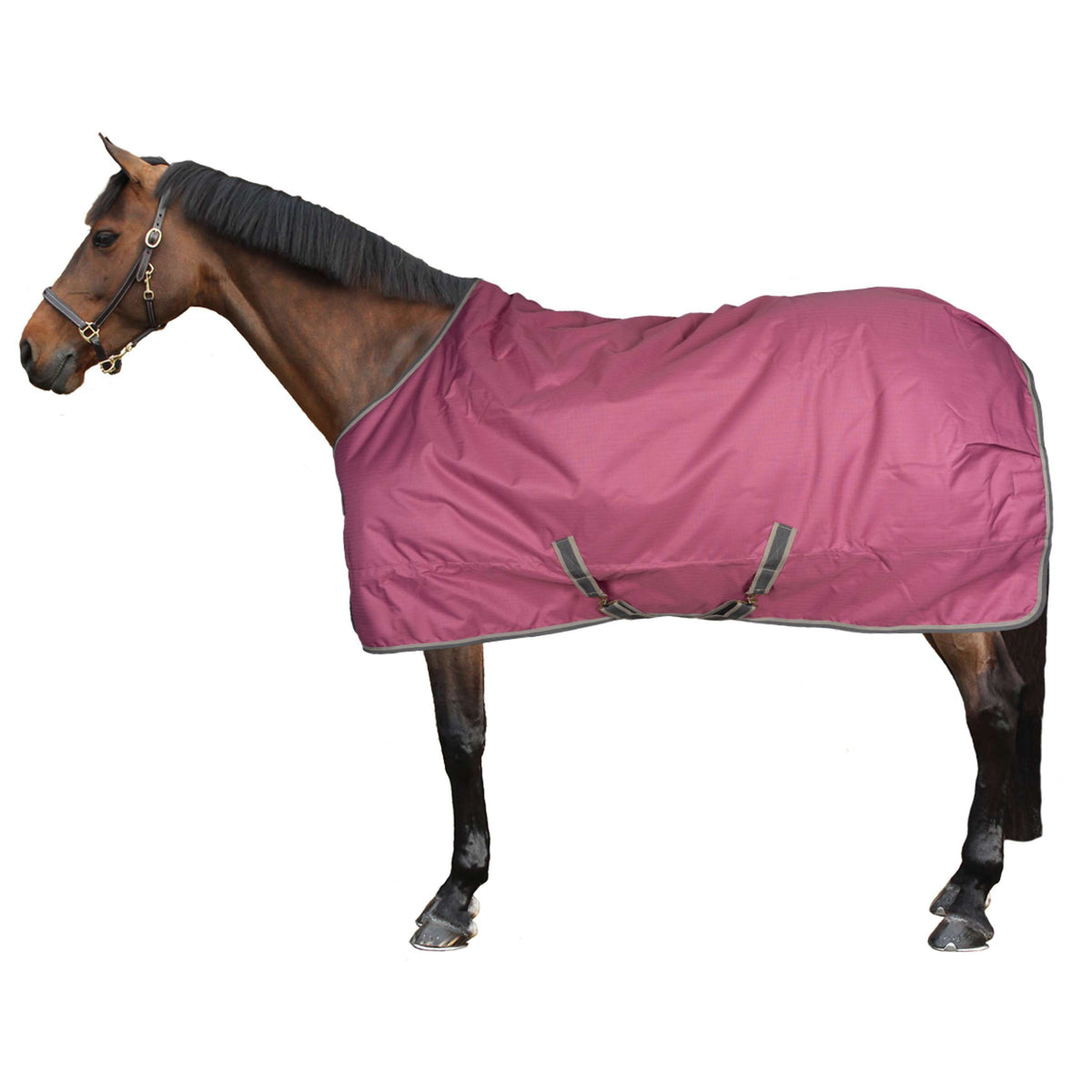 Bucas Freedom Turnout 300g Lampone