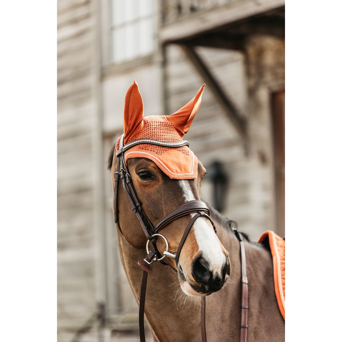 Kentucky Horsewear Cuffietta Wellington Velvet Arancia