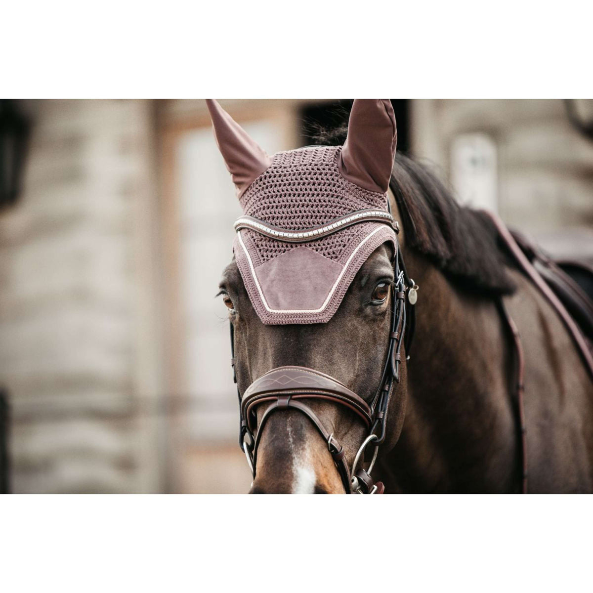 Kentucky Horsewear Cuffietta Wellington Velvet Viola chiaro