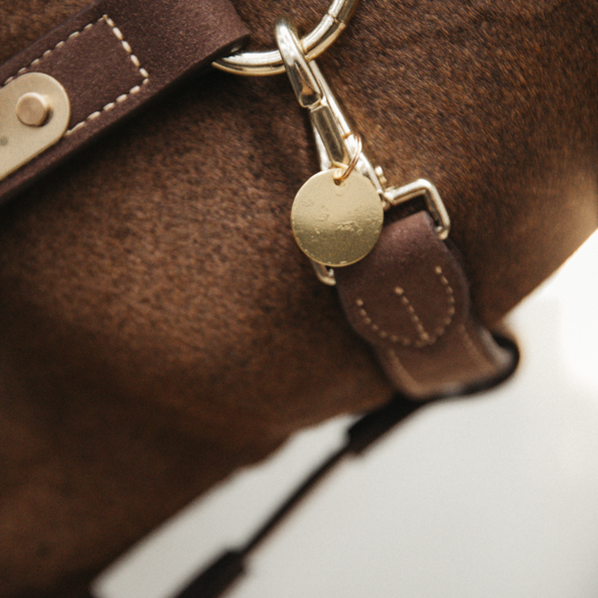 Kentucky Horsewear Targhetta Nome Oro