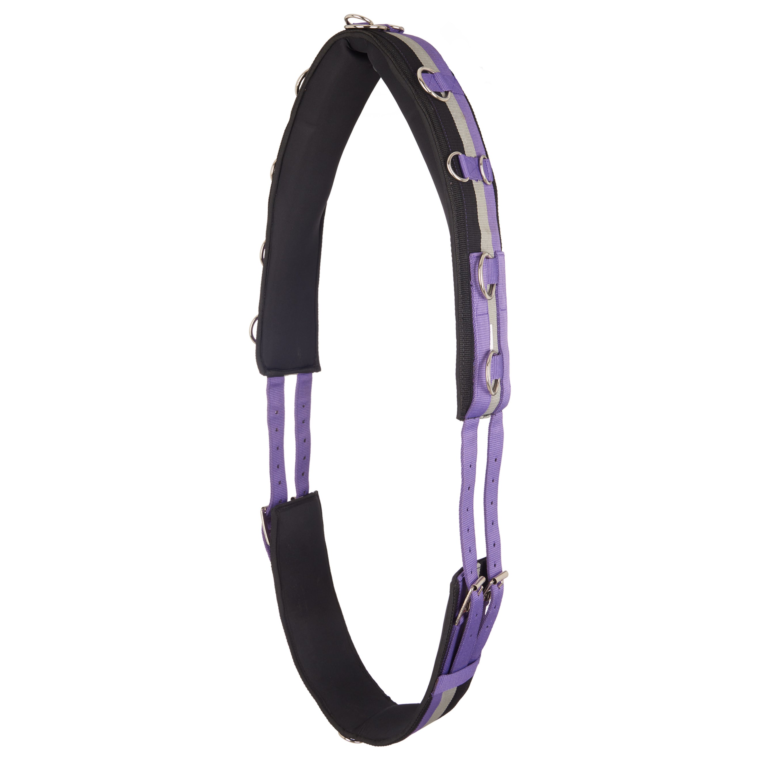 Imperial Riding Fascia da Addestramento IRHDeluxe Viola reale