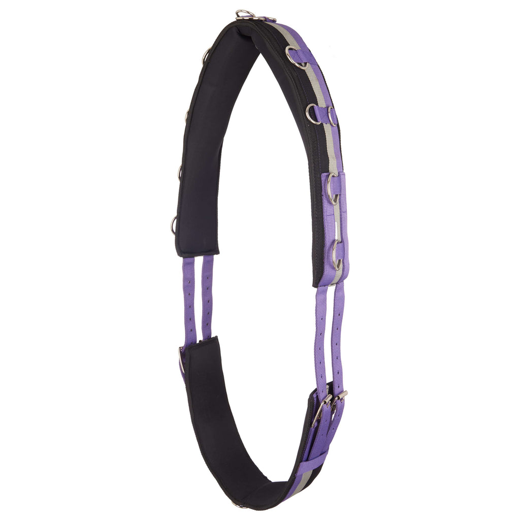 Imperial Riding Fascia da Addestramento IRHDeluxe Viola reale