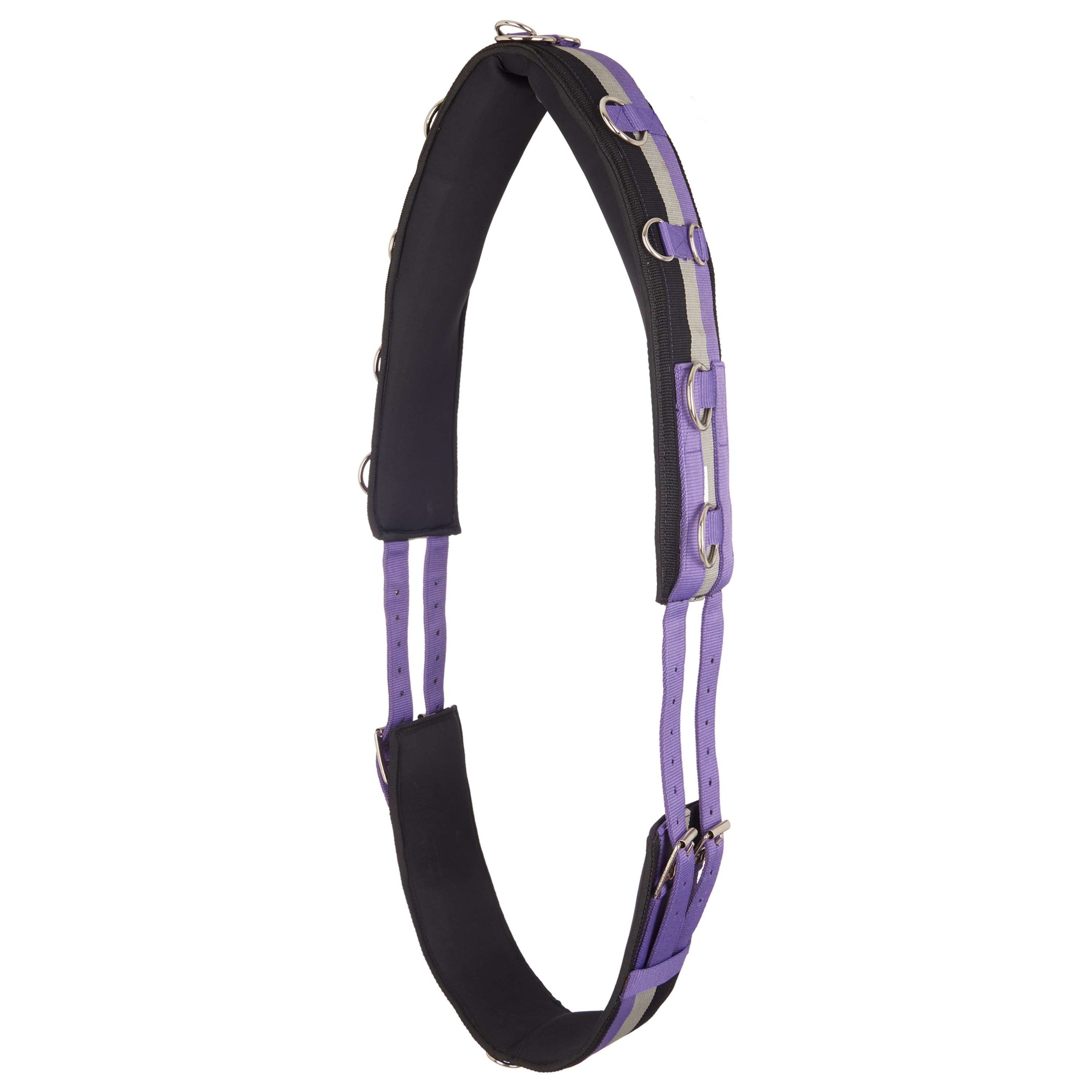 Imperial Riding Fascia da Addestramento IRHDeluxe Viola reale