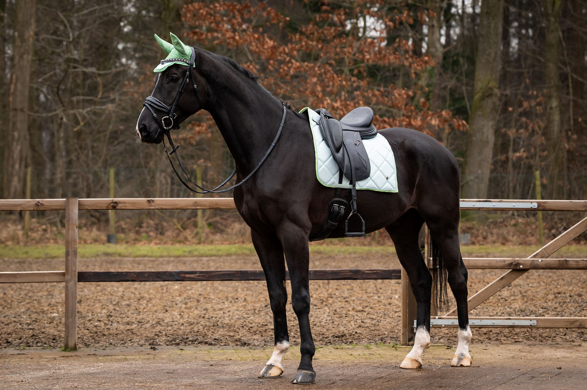 Showtime Sottosella Spring Dressage Verde menta