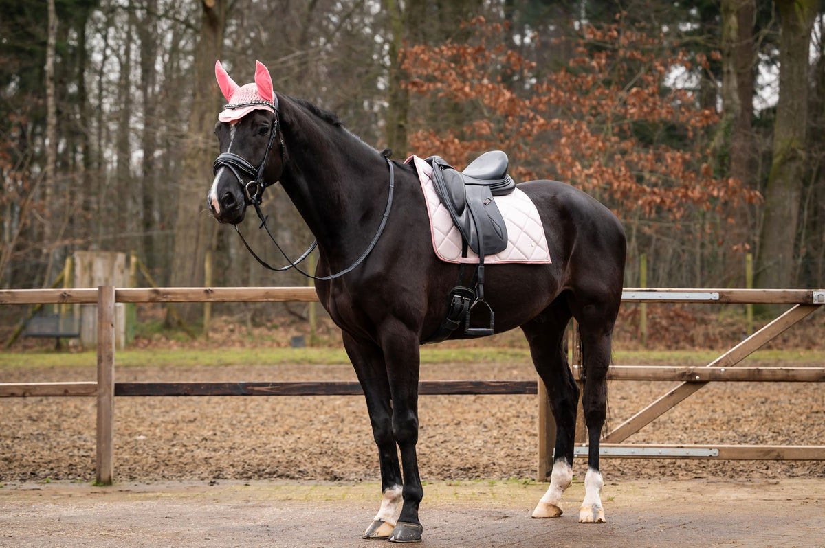 Showtime Sottosella Spring Dressage Rosa