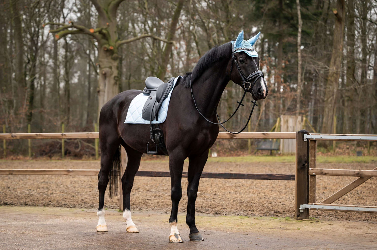 Showtime Sottosella Spring Dressage Azzurro