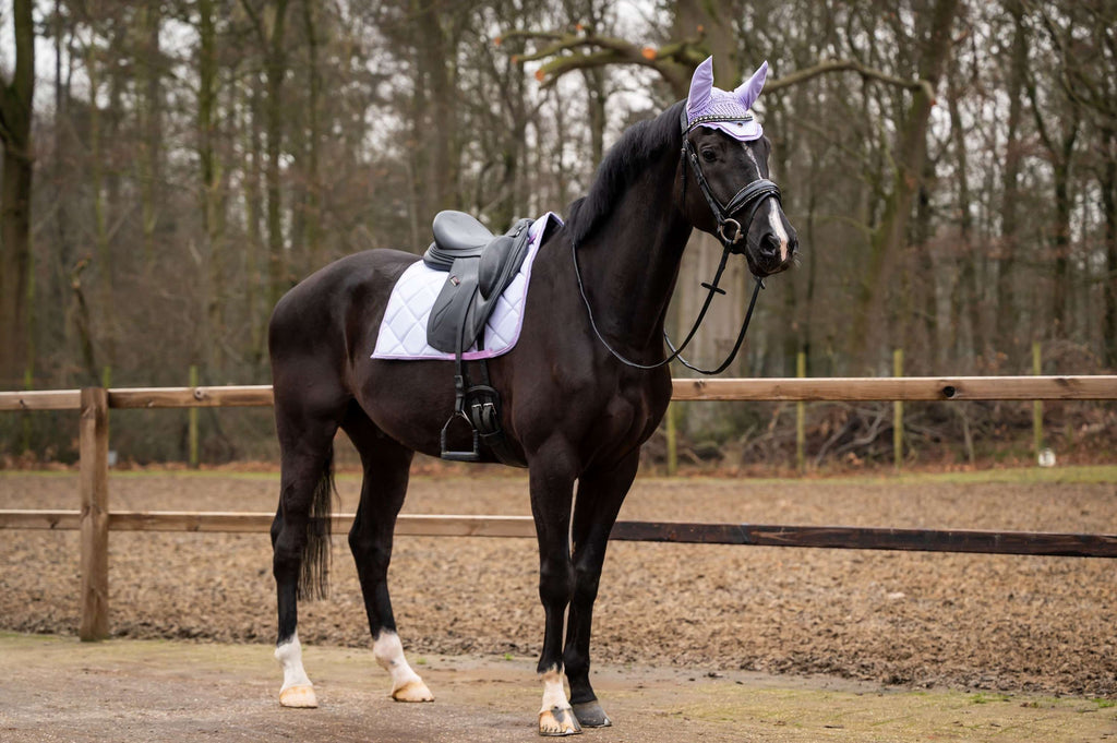 Showtime Sottosella Spring Dressage Viola chiaro