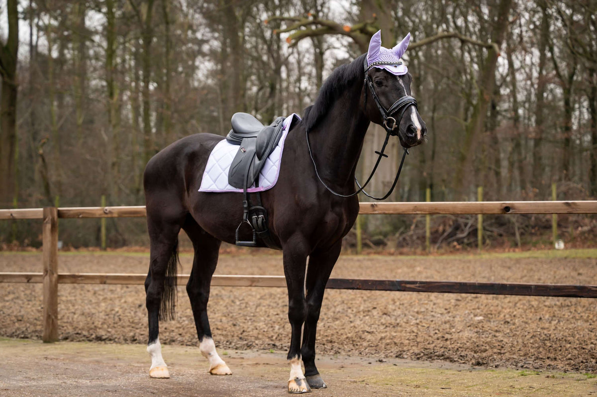 Showtime Sottosella Spring Dressage Viola chiaro