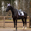 Showtime Sottosella Spring Dressage Viola chiaro