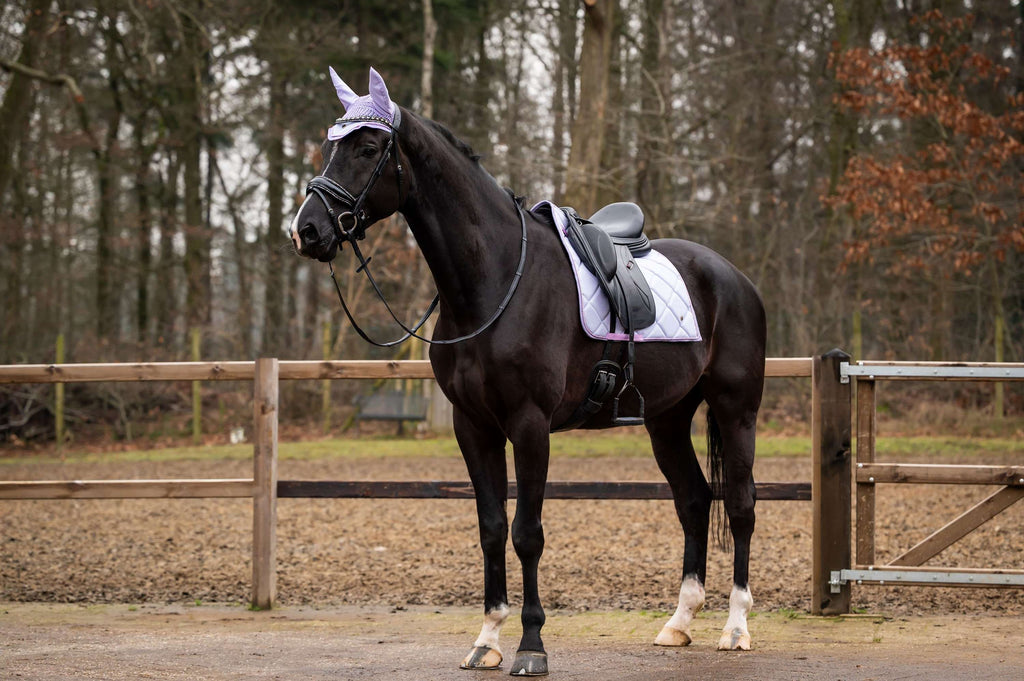 Showtime Sottosella Spring Dressage Viola chiaro