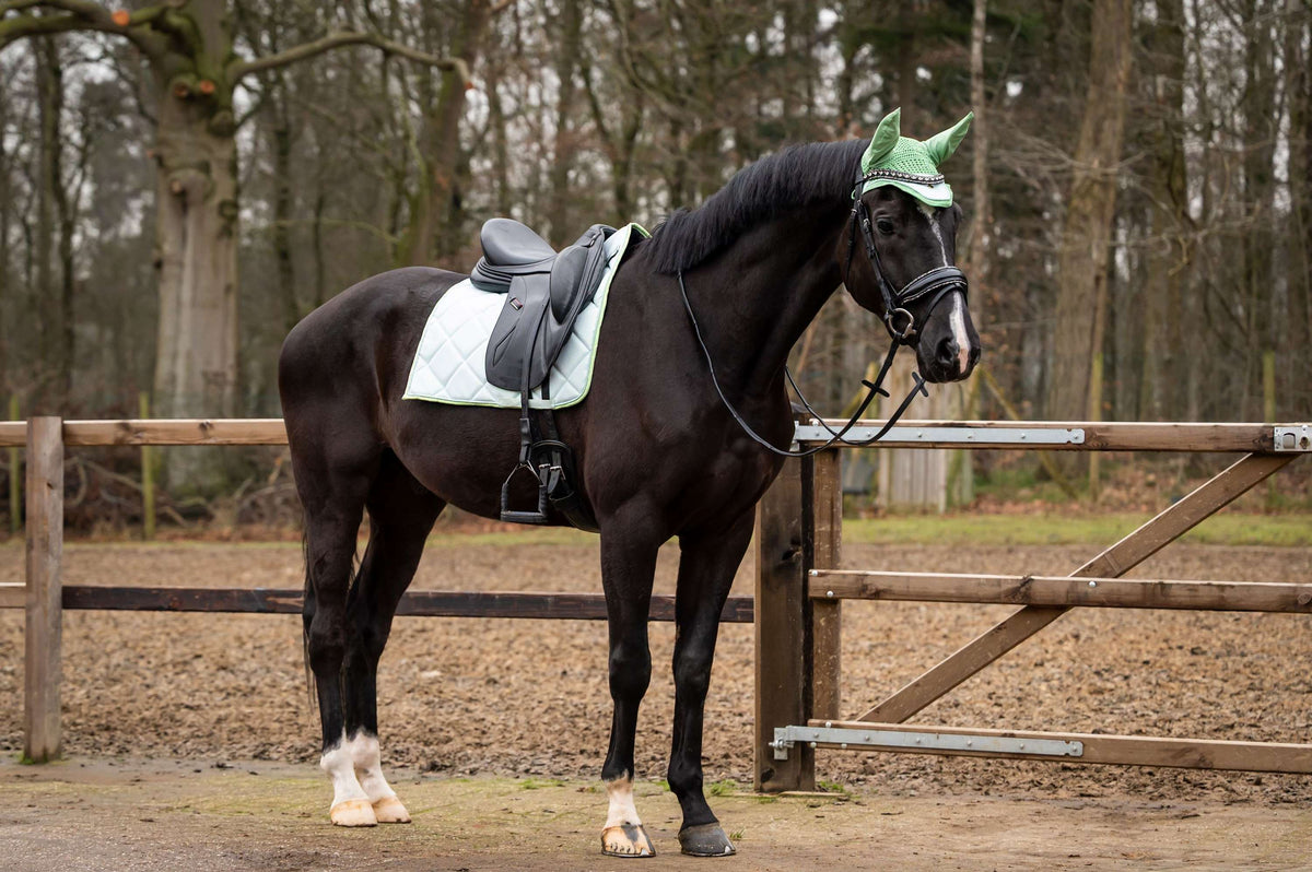 Showtime Sottosella Spring Dressage Verde menta