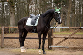 Showtime Sottosella Spring Dressage Verde menta