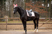 Showtime Sottosella Spring Dressage Rosa