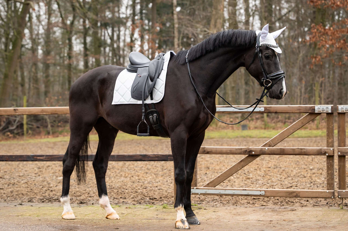 Showtime Sottosella Spring Dressage Argento