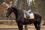 Showtime Sottosella Rio Dressage Beige