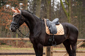 Showtime Sottosella Rio Dressage Beige