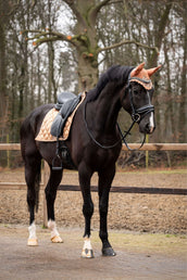 Showtime Sottosella Rio Dressage Beige