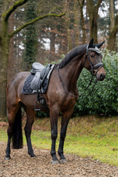 Showtime Sottosella Rio Dressage Nero