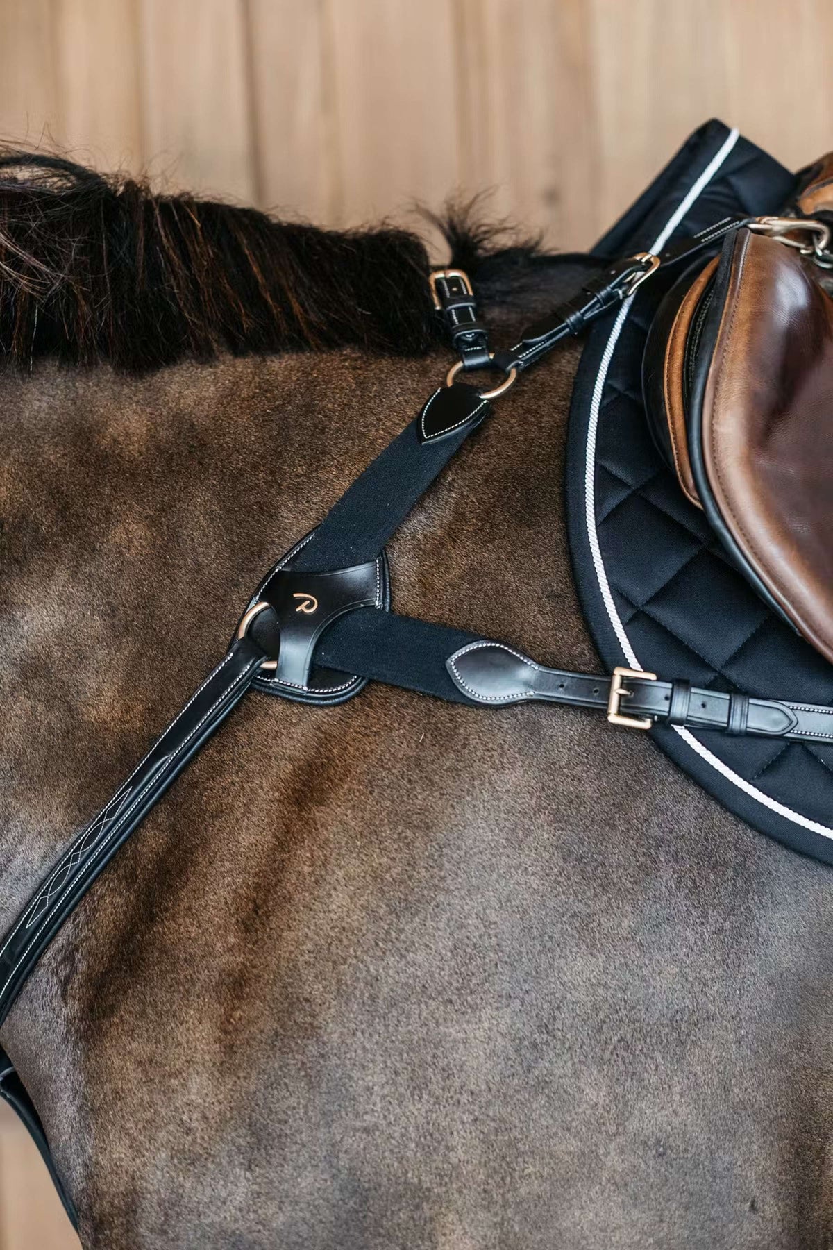 Dyon Pettorina 5 points Elastico Nero