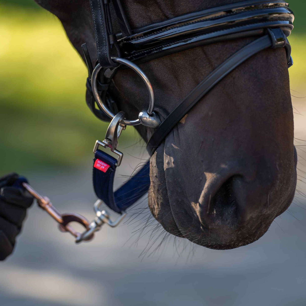 Imperial Riding Pezzo di briglie per longe IRH Marina