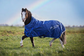 Imperial Riding Tappeto da Esterno IRHSuper-Dry 100g Marina