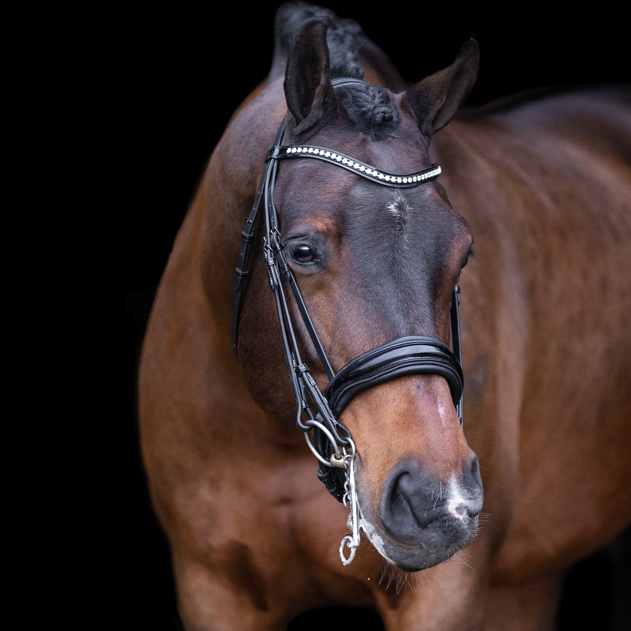 Imperial Riding Briglia Doppia IRHAthena Nero