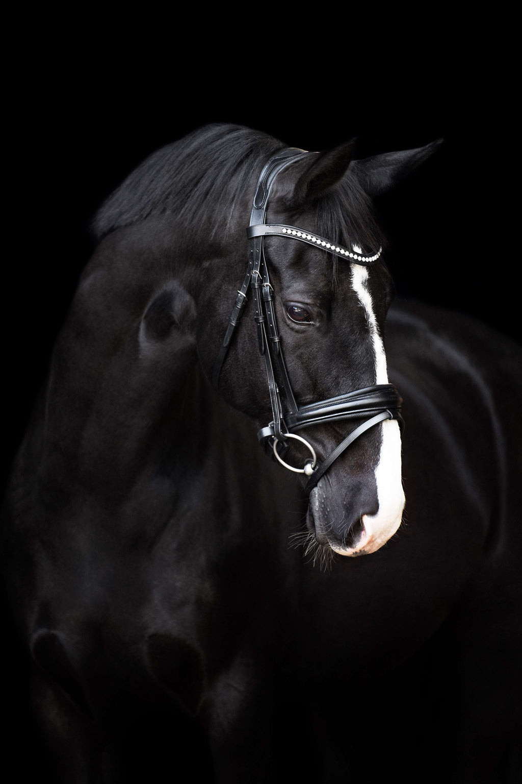 Imperial Riding Briglia IRHFria Trens Nero