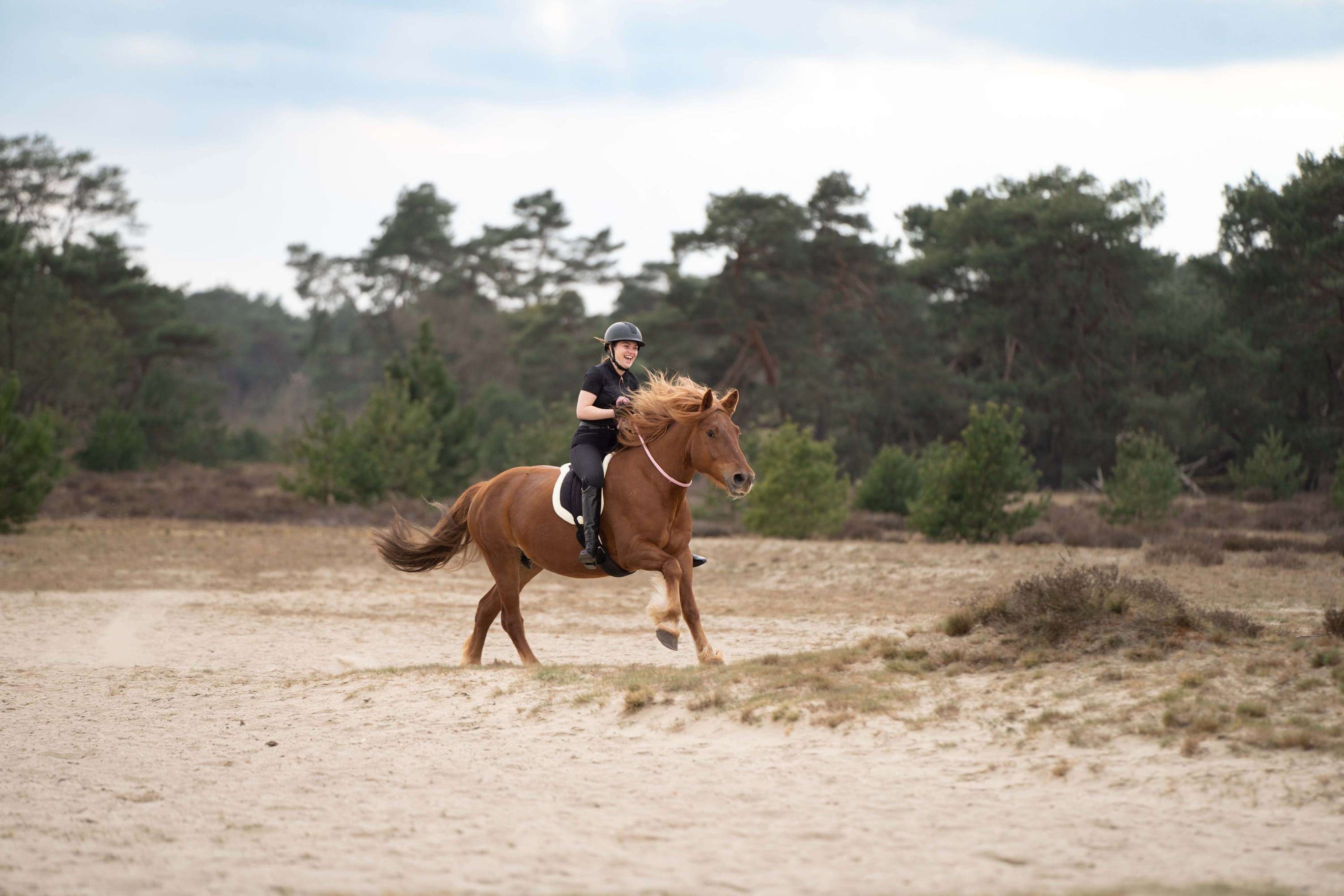 Imperial Riding Cavezza in Corda IRHFree Ride Nero