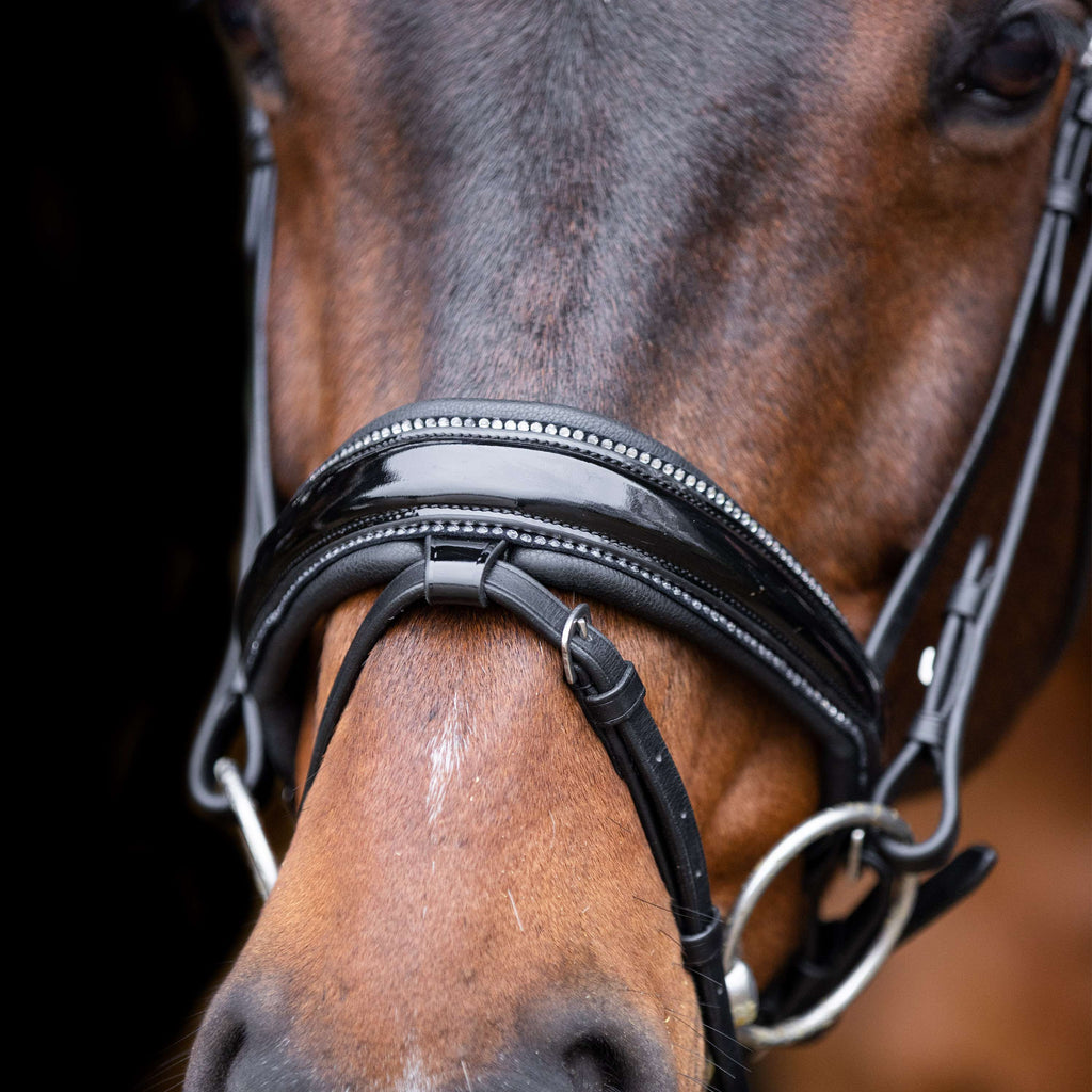 Imperial Riding Briglia IRHOlympia Nero Argento