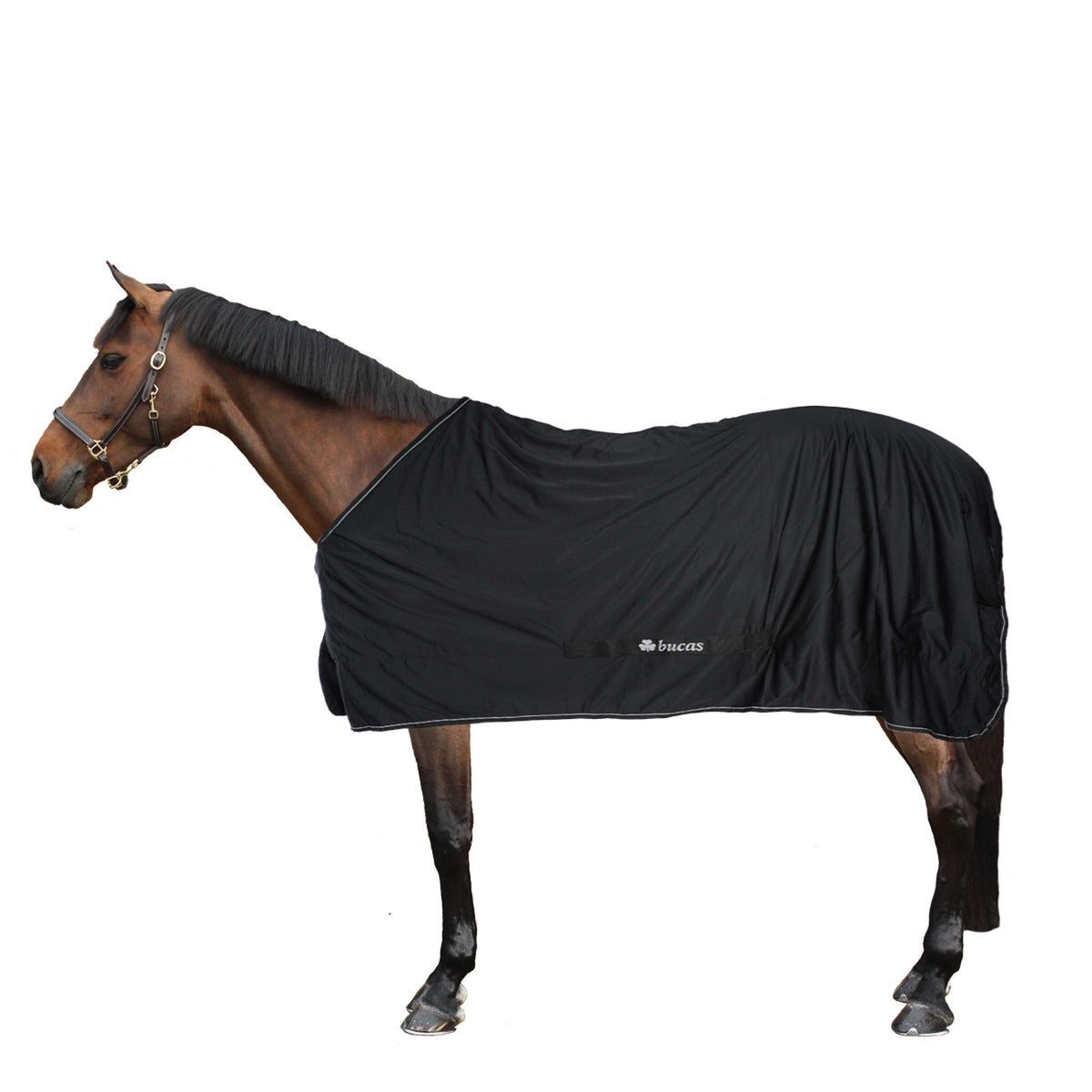 Bucas Trifoglio Power Black/Silver