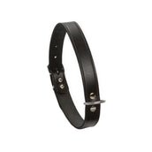 Beeztees Collare Nero