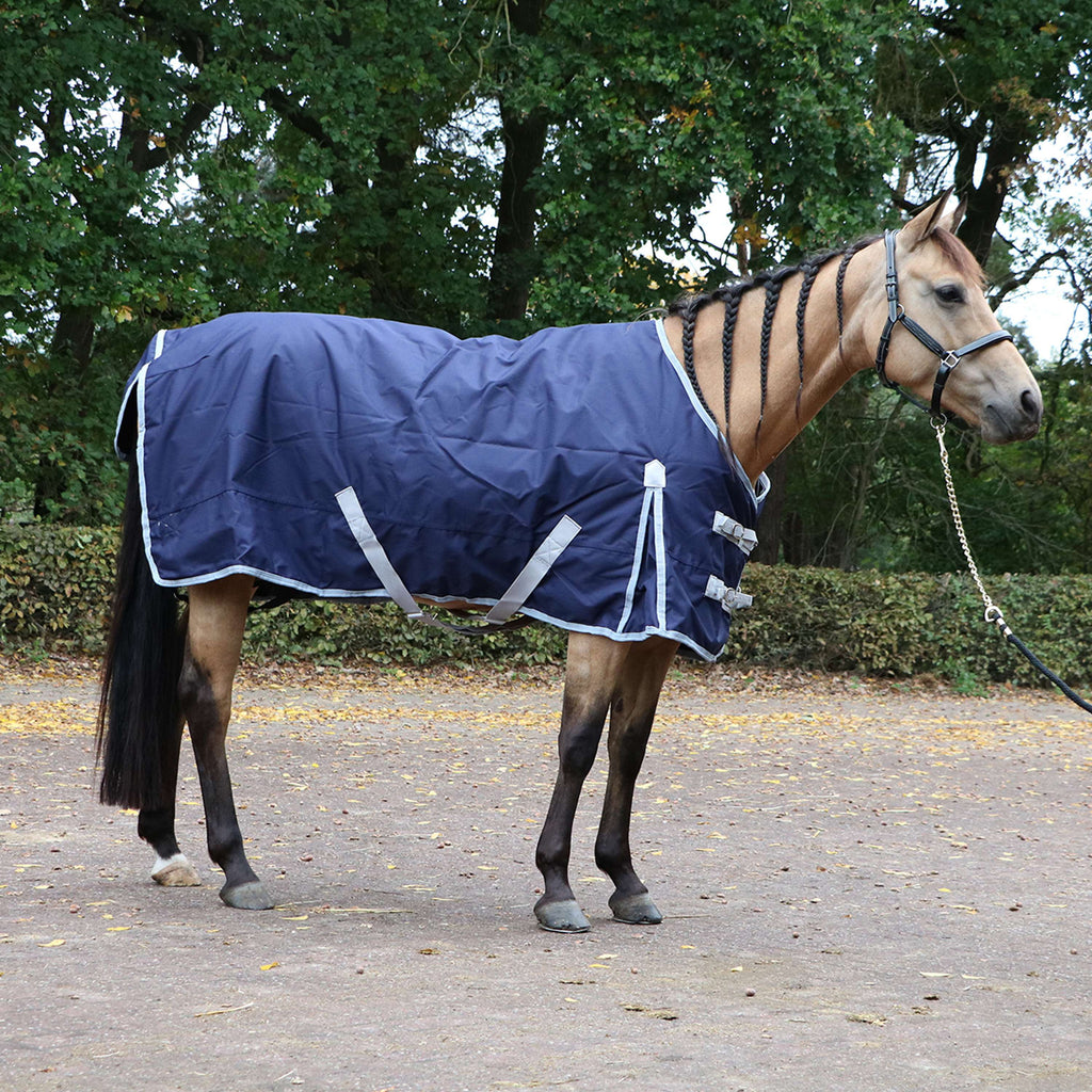 Premiere Tappeto da Esterno Tutto l'anno 150g Dress Blue