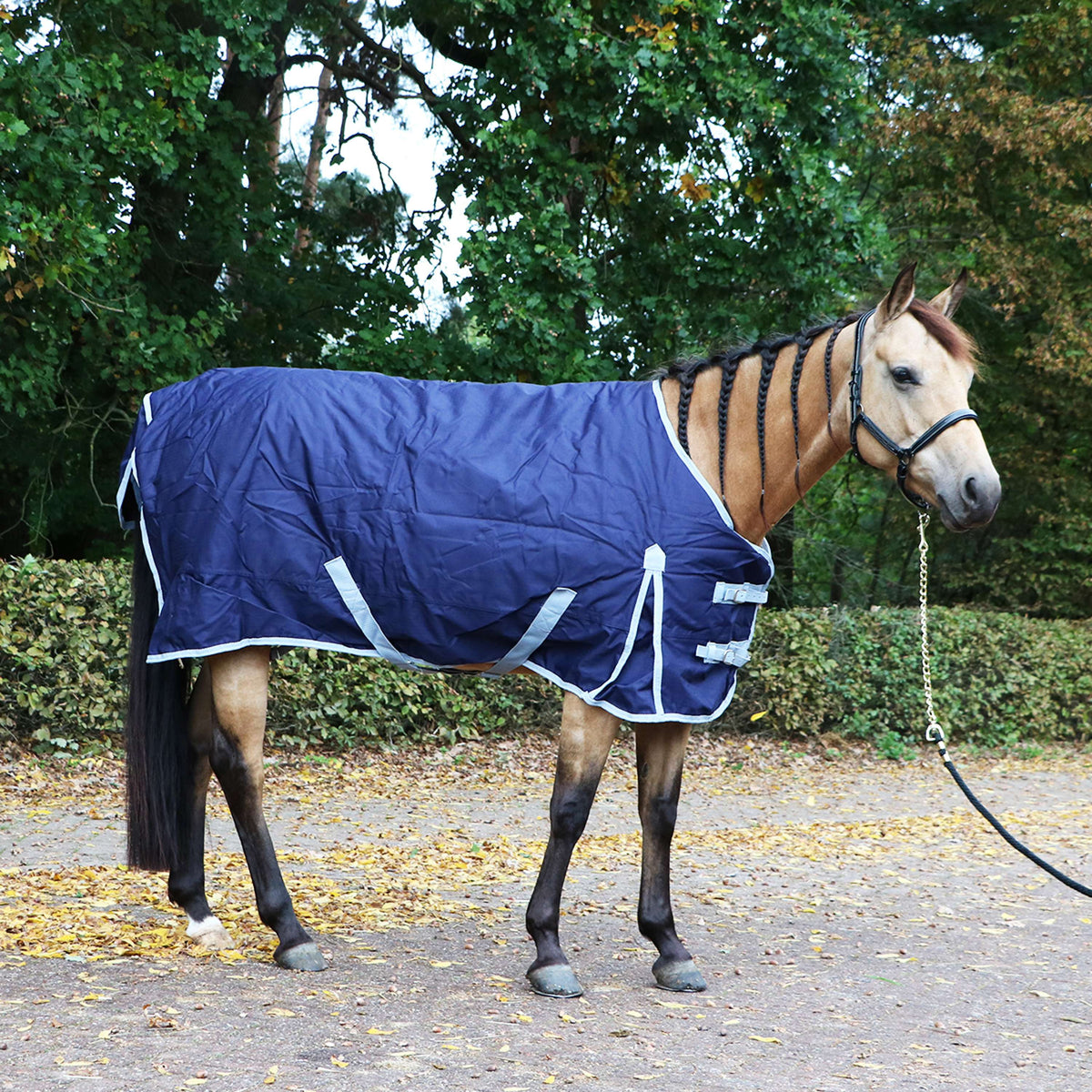 Premiere Tappeto da Esterno All Year 300 g Dress Blue