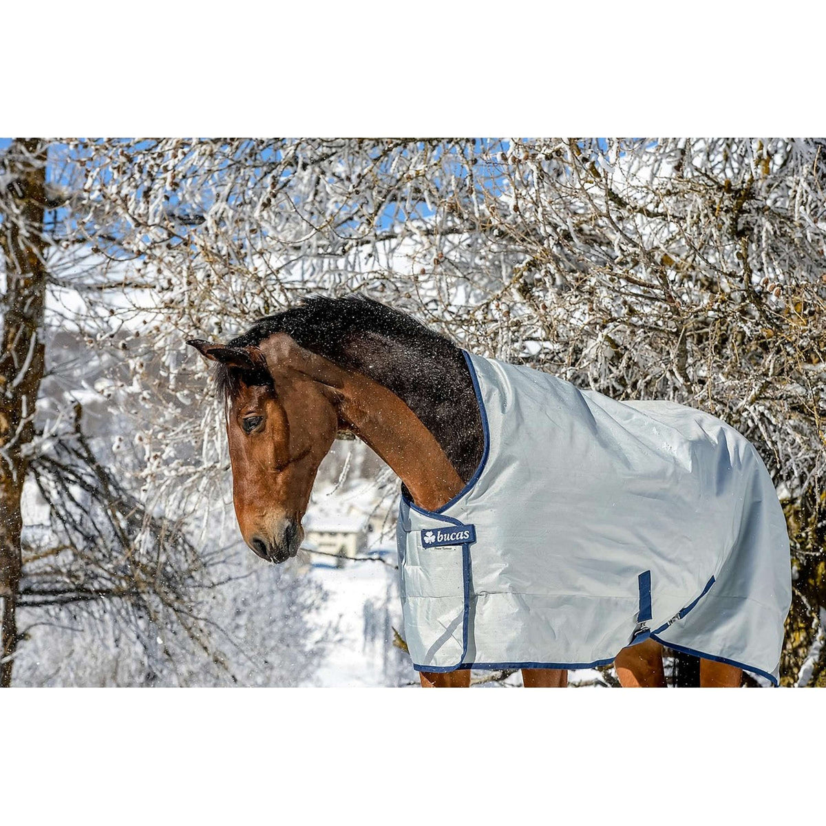 Bucas Affluenza alle urne Extra High Neck Argento
