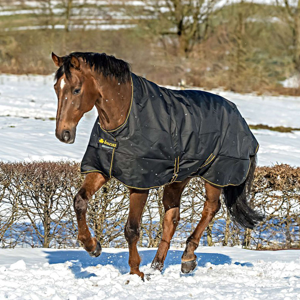 Bucas Irish Turnout Extra High Neck 300g Nero/Oro