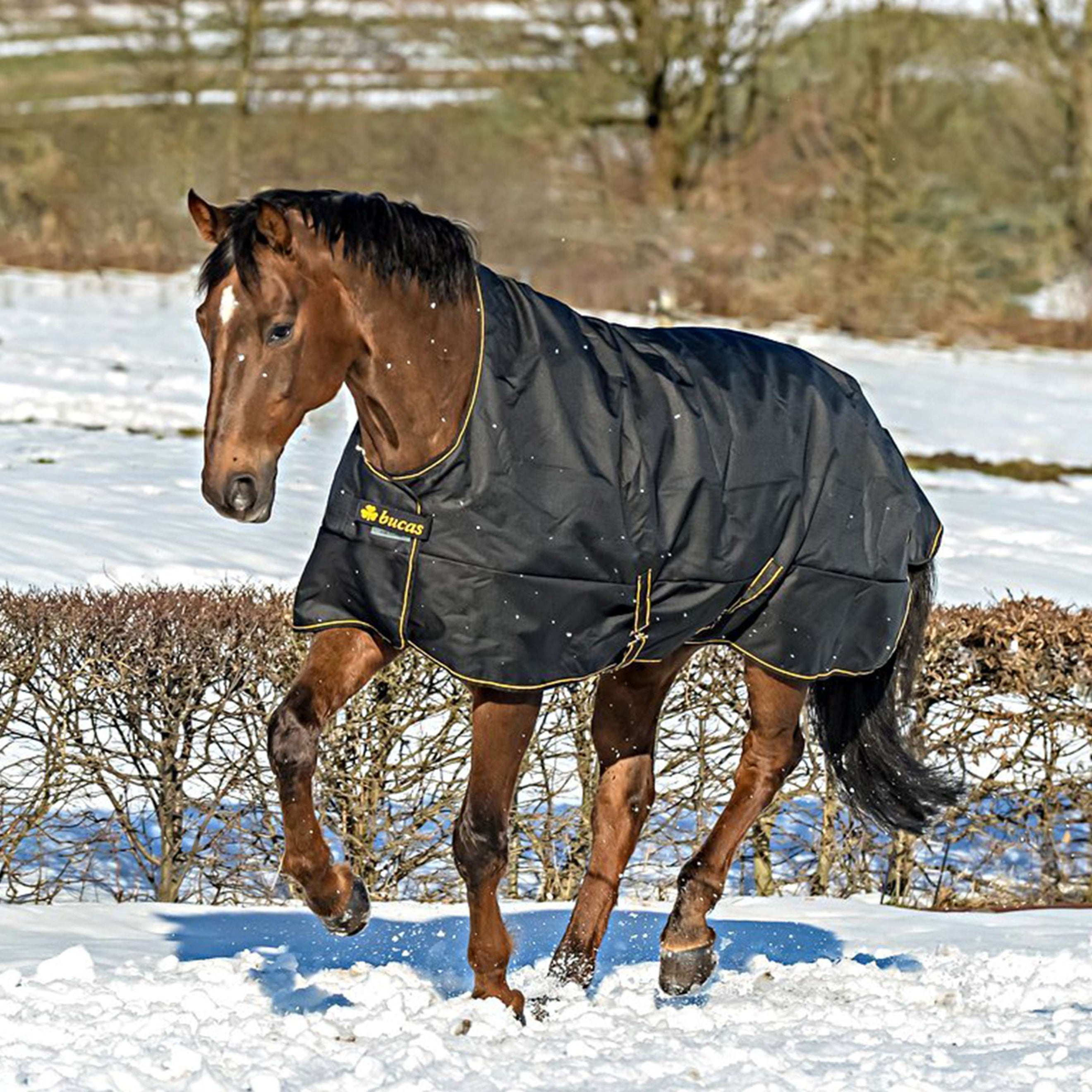 Bucas Irish Turnout Light Highneck 50g Nero/Oro Bucas Irish Turnout Light Highneck 50g Nero/Oro