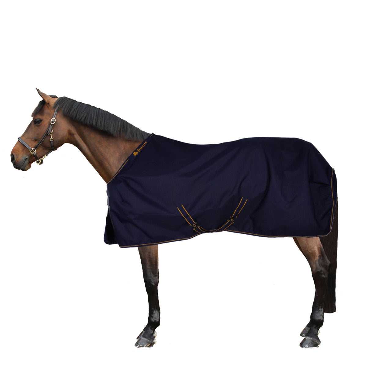 Bucas Luce di affluenza alle urne Navy/Gold