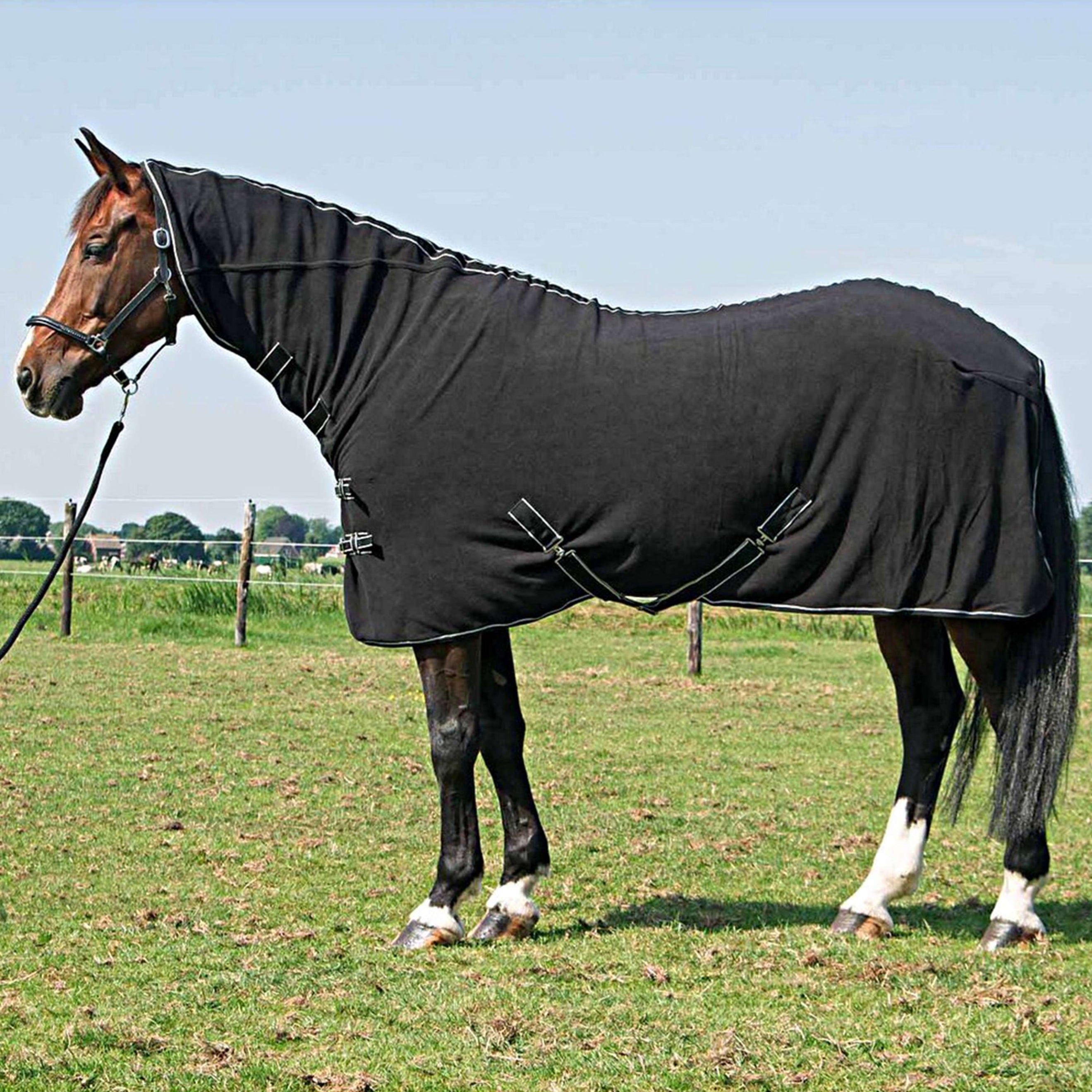 Harry's Horse Coperta in Pile Nero