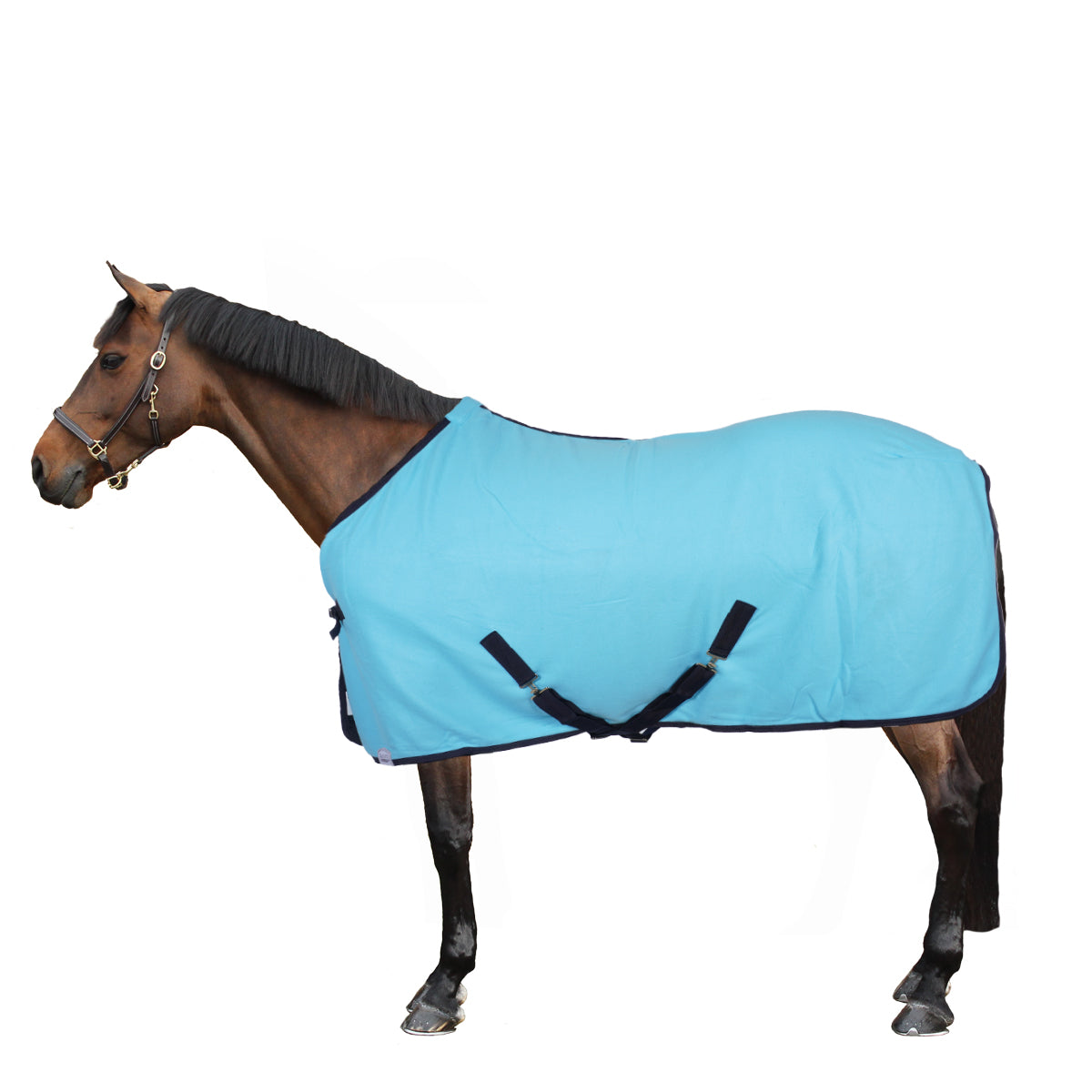 Harry's Horse Coperta in Pile Colours Turchese