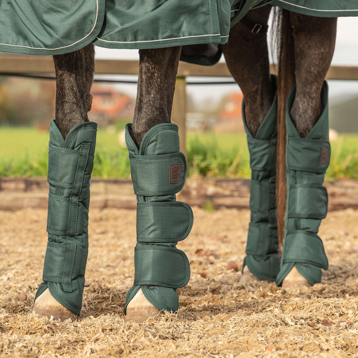 Agradi Horse Protettori da trasporto 1200D Verde
