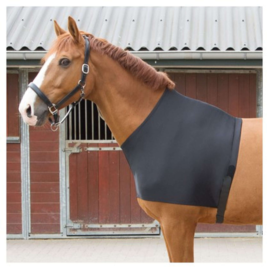 Harry's Horse Protettore Torace Lycra Nero