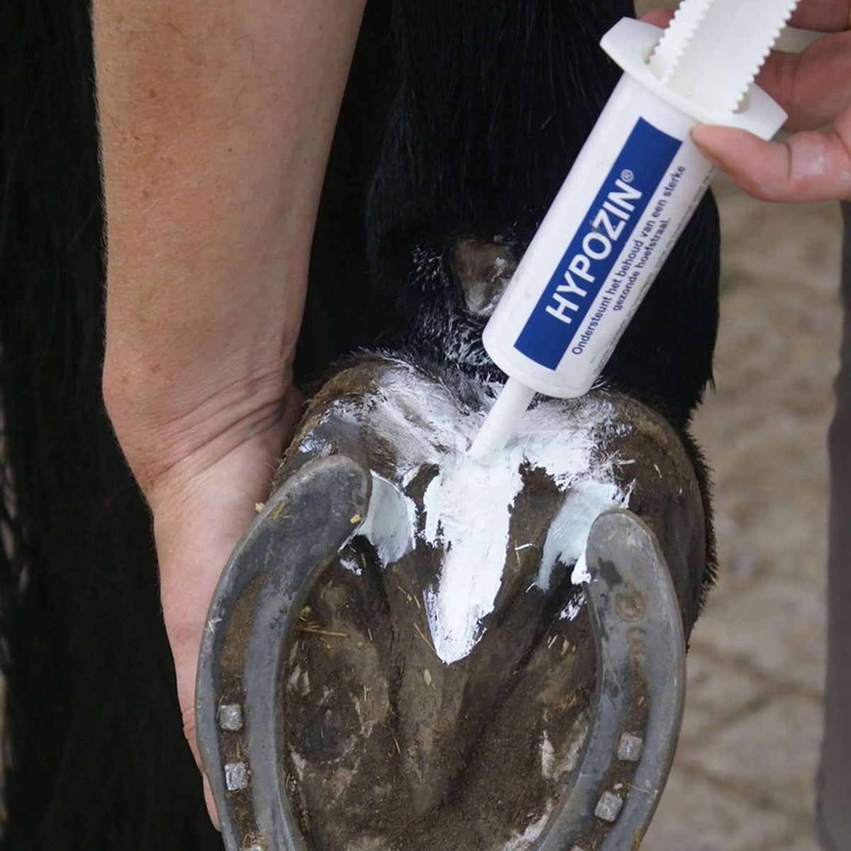 Hypo Marciume del piede