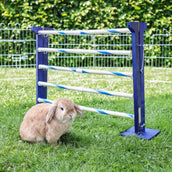Kerbl Coniglio Hurdle Agility 2
