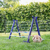 Kerbl Coniglio Hurdle Agility 2